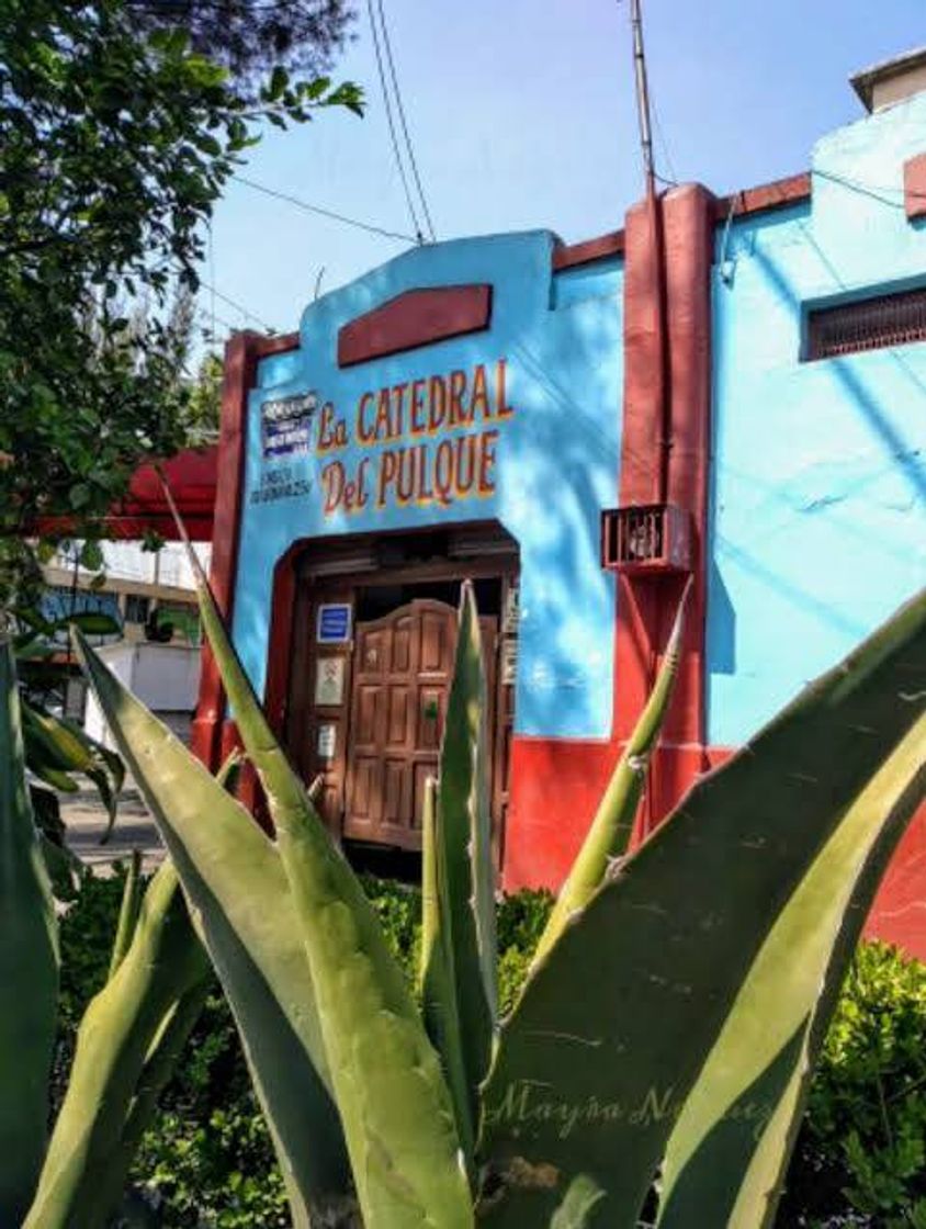 Lugar La catedral del pulque