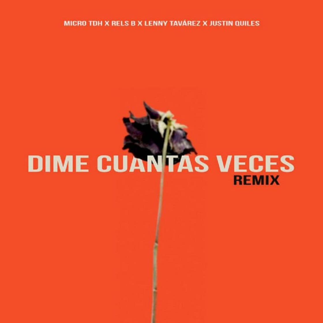 Music Dime cuantas veces 