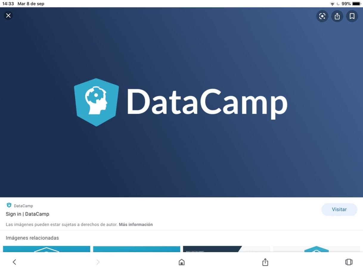 Fashion DataCamp| Cursos 