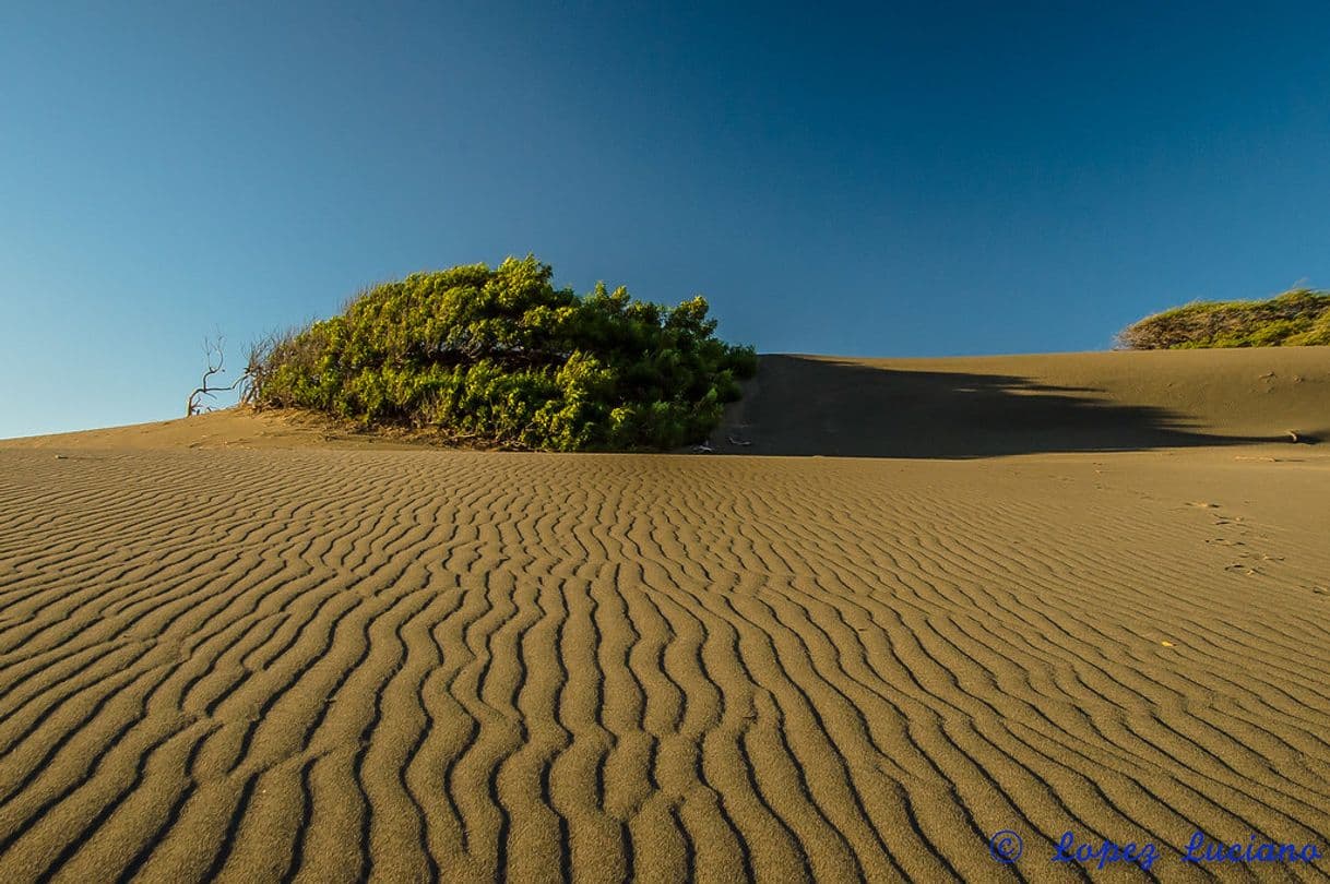 Lugar Dunas De Bani,