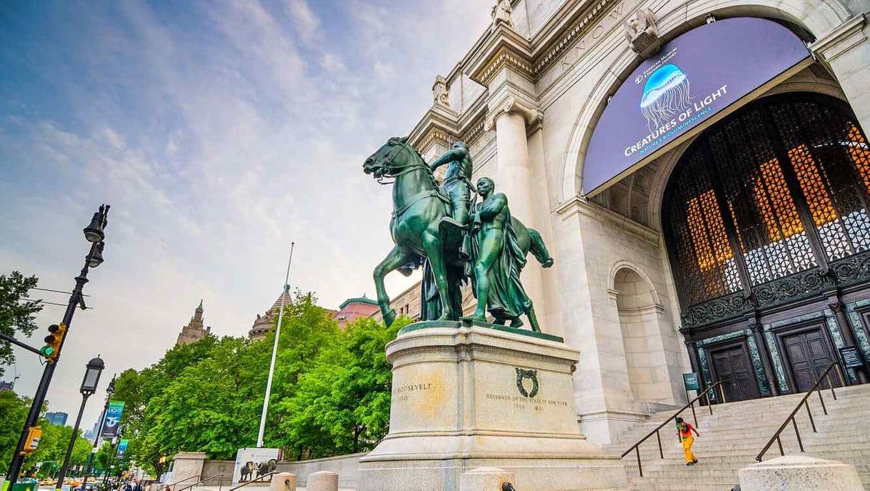 Place American Museum of Natural History