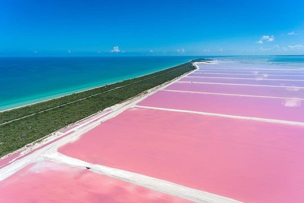 Lugar The Coloradas