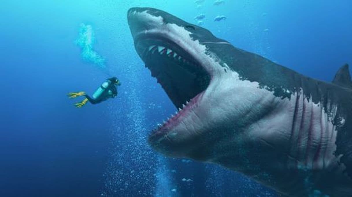 Película Megalodon