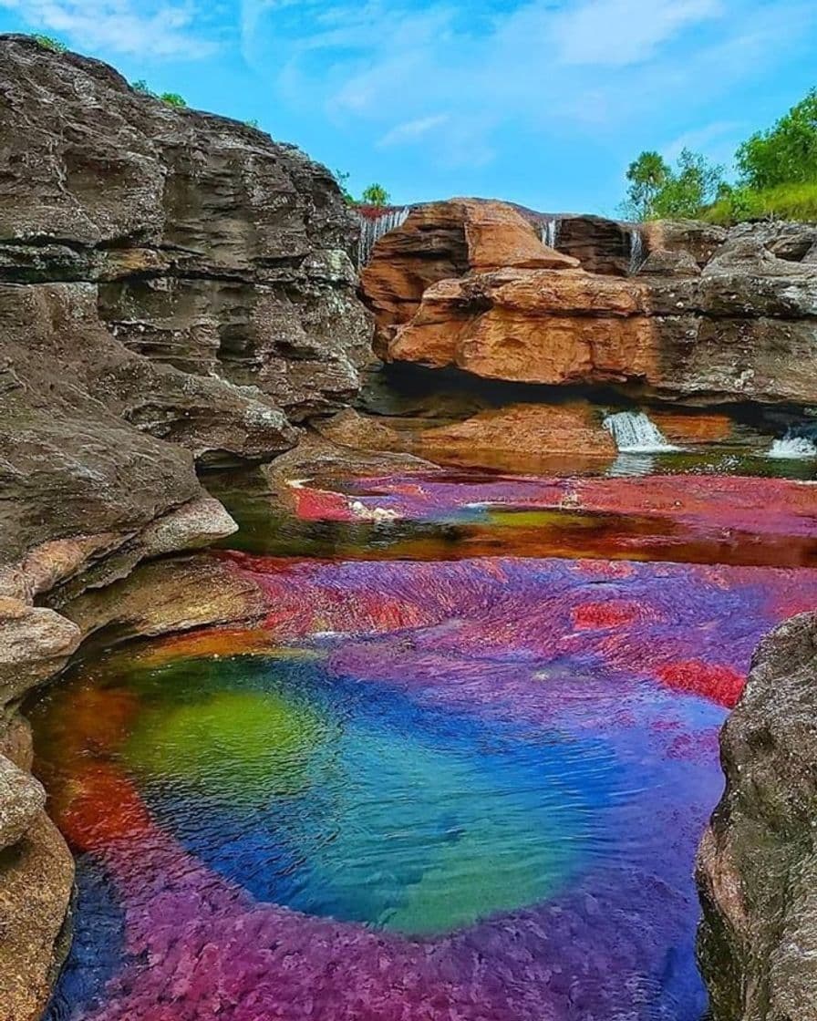 Place Caño Cristales