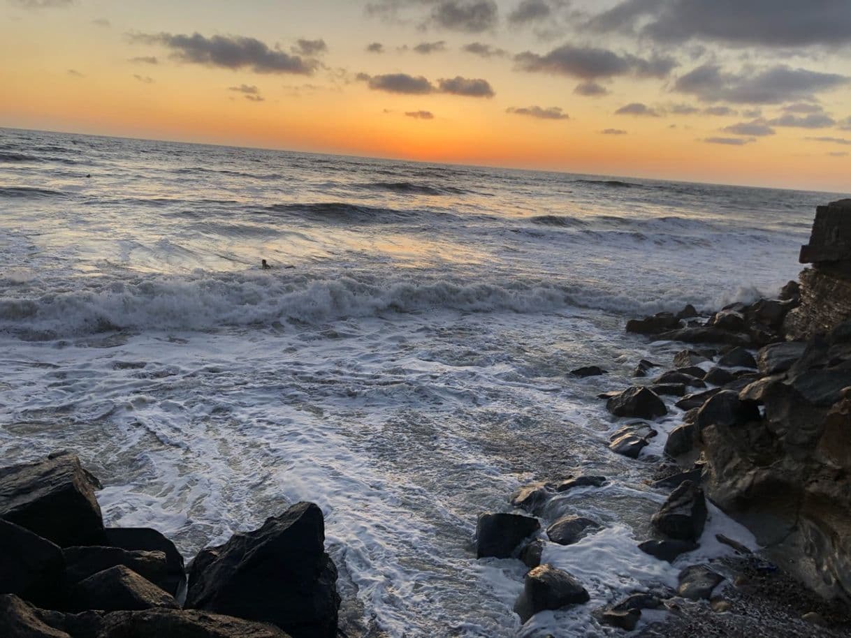 Place Sunset Cliffs Natural Park