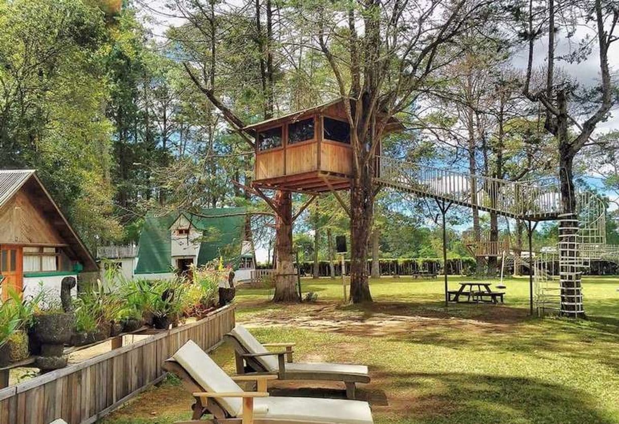 Place Siempre Verde Chiapas, Centro Ecoturístico