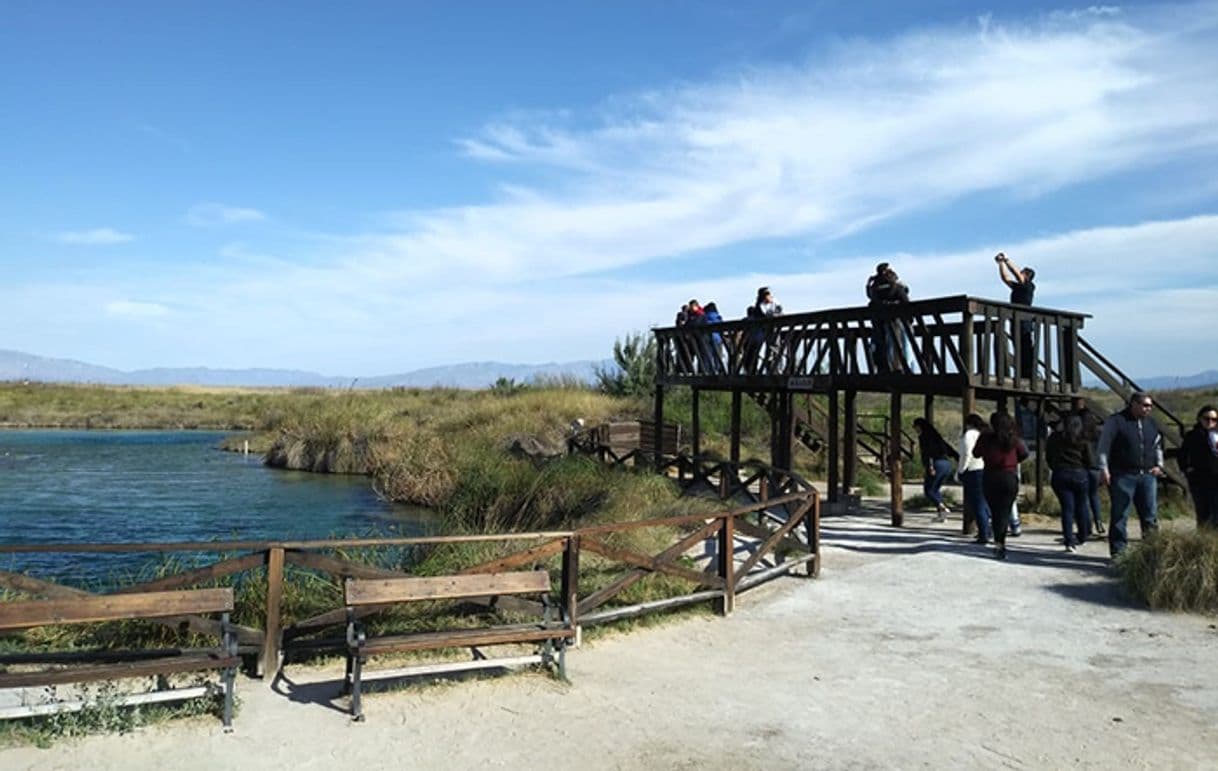 Lugar Cuatro Ciénegas