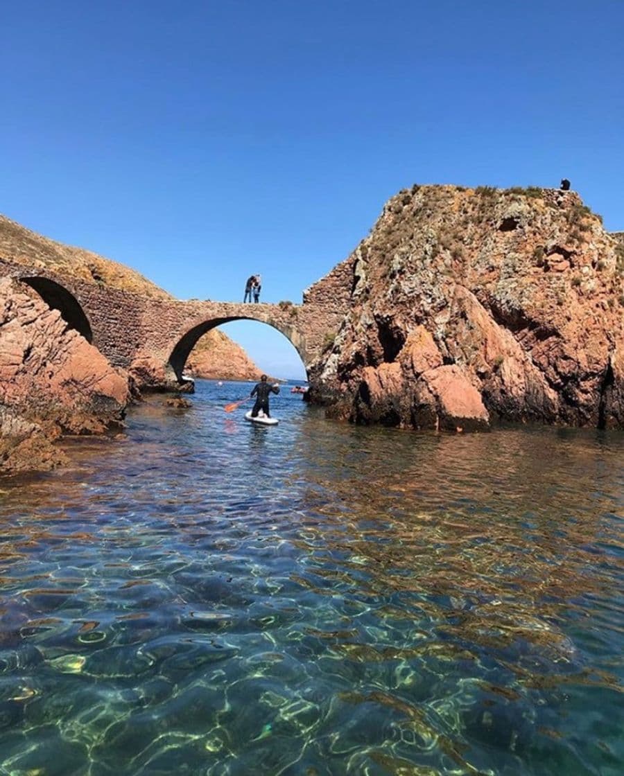 Place Berlengas