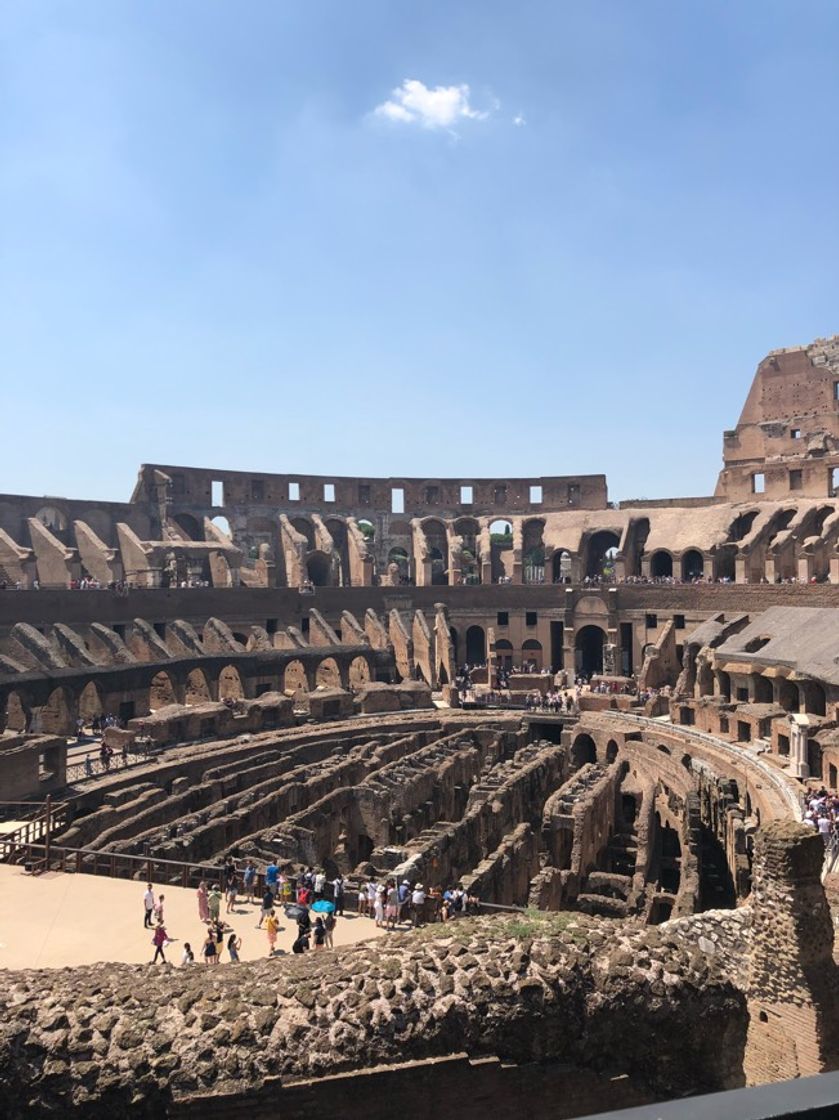 Lugar Coliseo de Roma