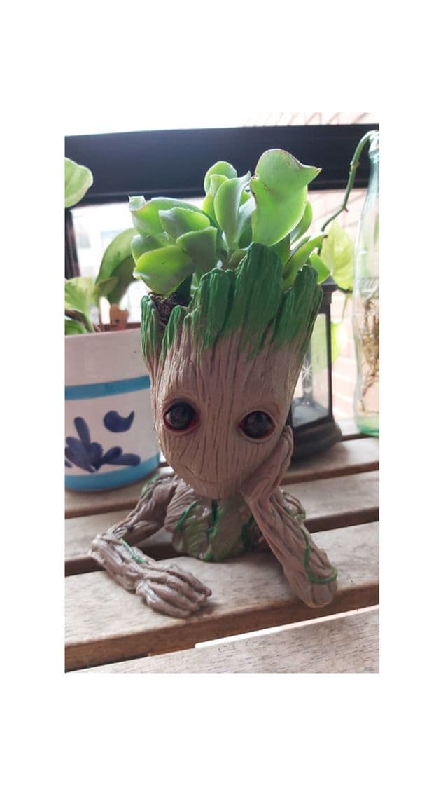 Producto Maceta Groot