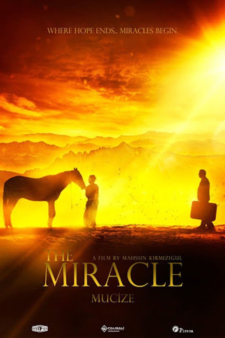 Movie The Miracle