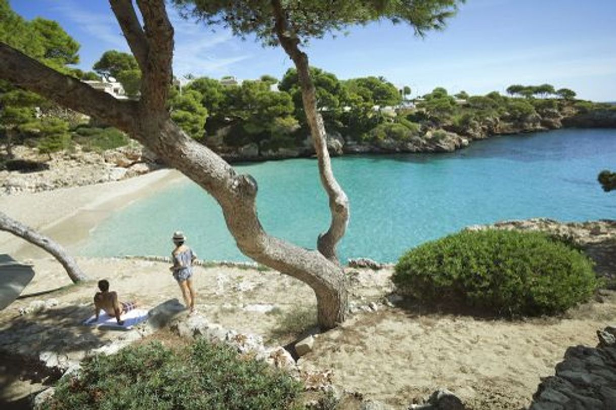 Place Cala Esmeralda Beach