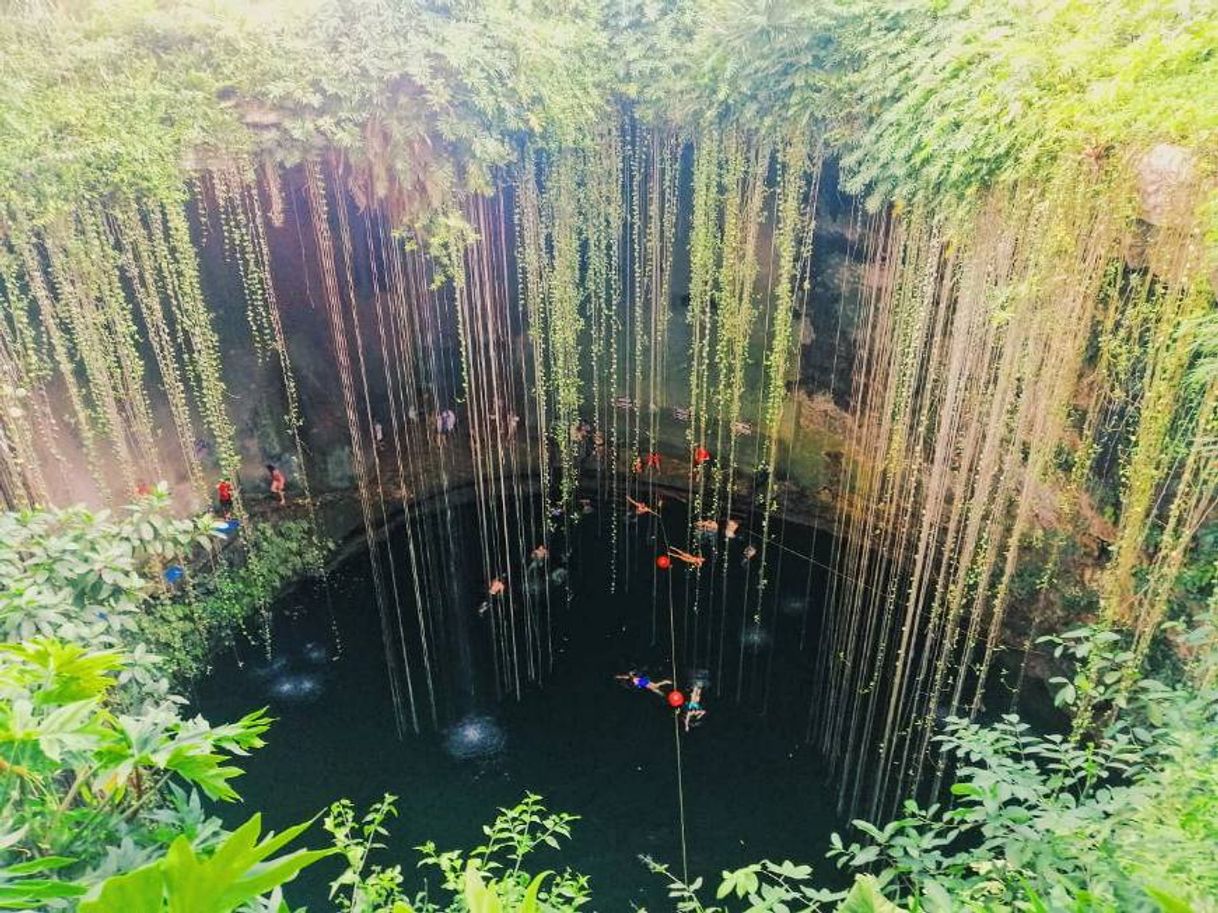 Place Cenotes de Cuzamá