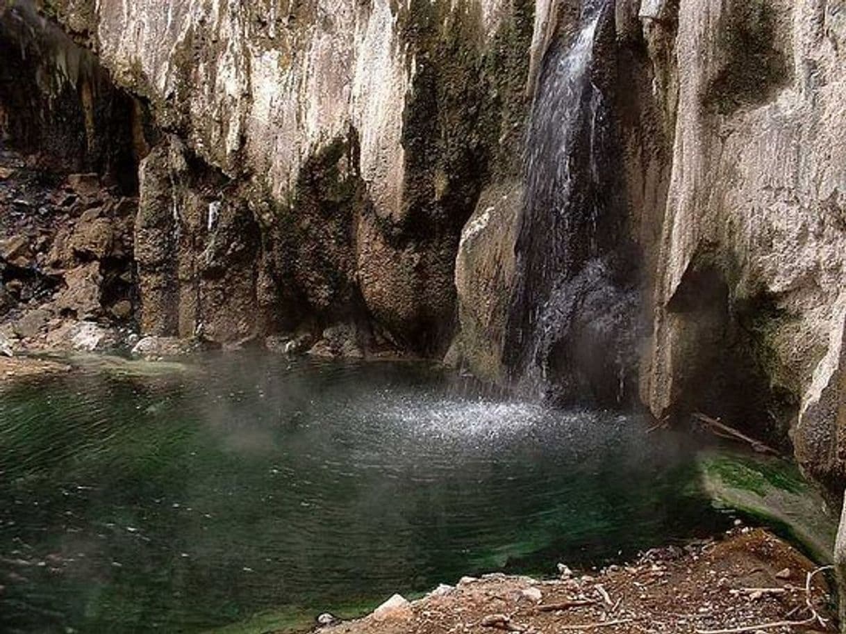 Lugar Bosque de la Primavera