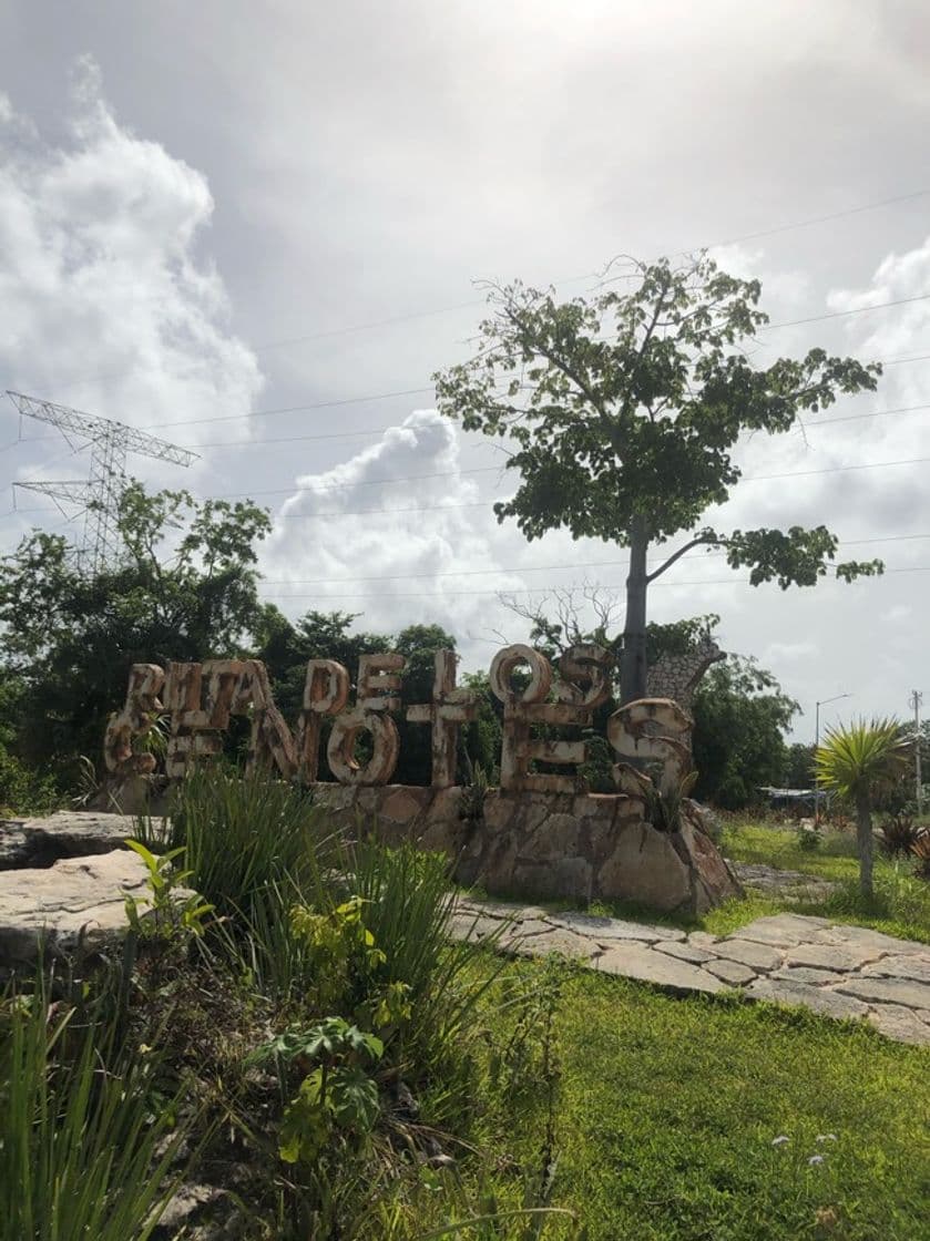 Lugar Ruta de los cenotes, puerto morelos Qroo