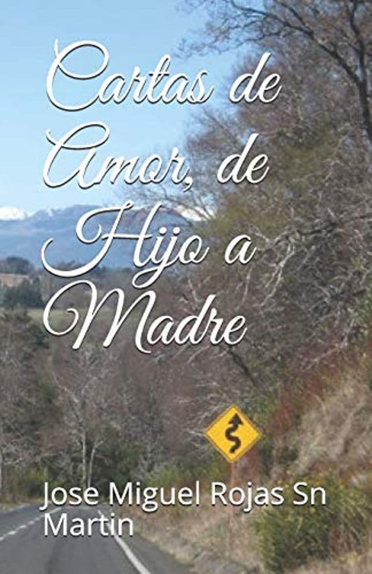 Book Cartas de Amor, de Hijo a Madre