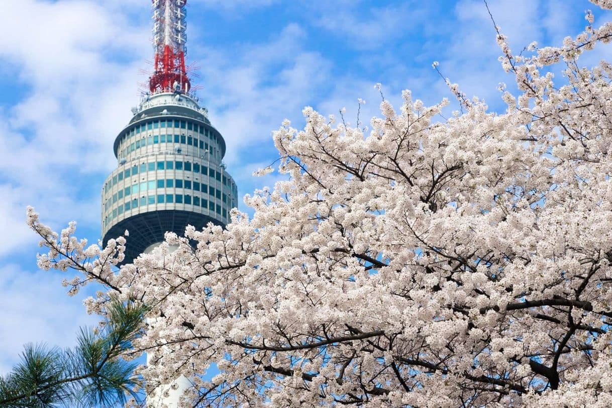 Lugar Seoul Tower