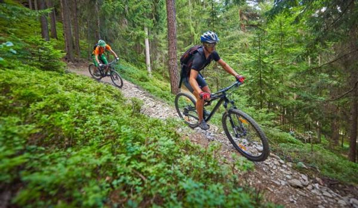 Moda Ciclismo 🚴 