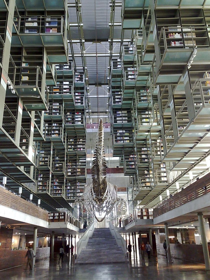 Lugar Biblioteca Jose Vasconcelos