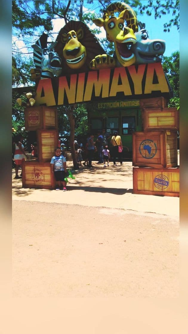 Place Animaya