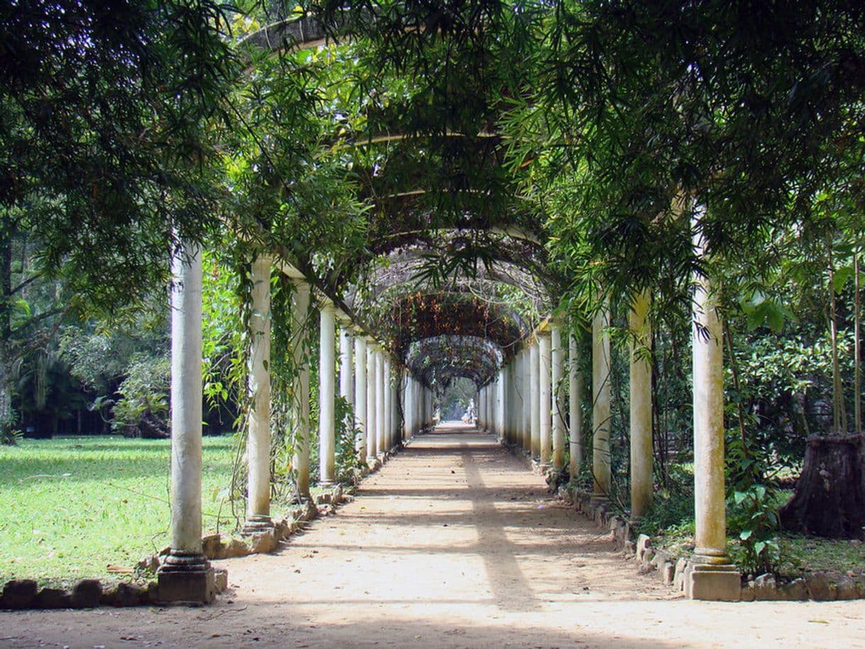 Lugar Jardim Botânico, Rio de Janeiro