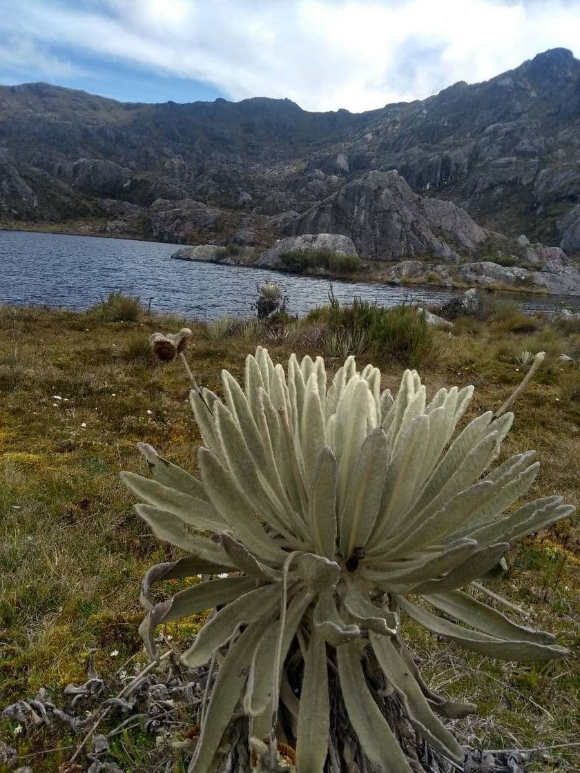 Place Paramo de Santurban