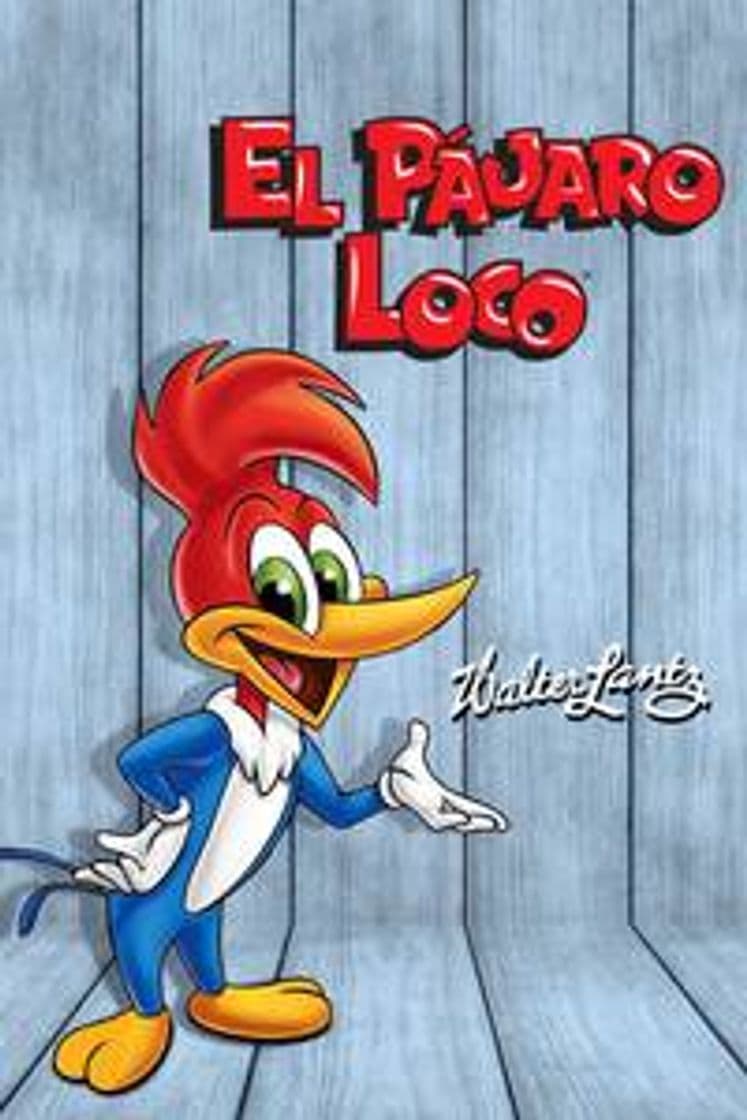 Serie The New Woody Woodpecker Show