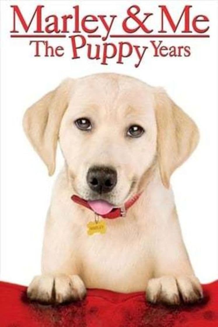 Movie Marley & Me: The Puppy Years