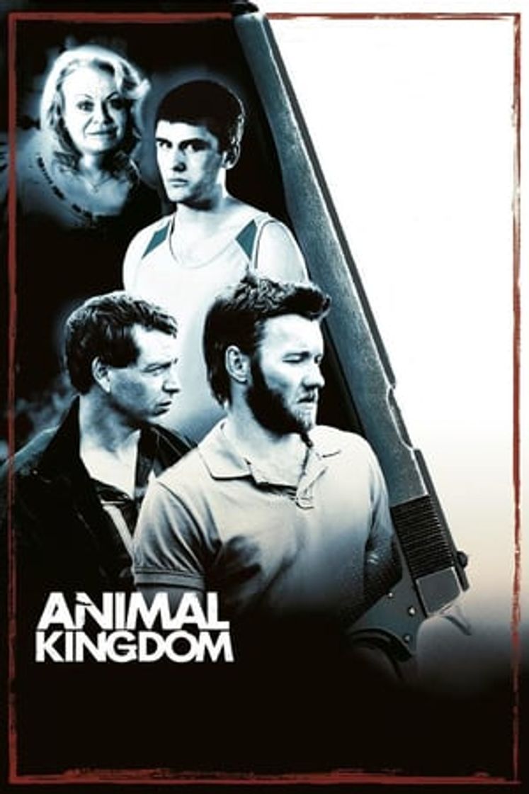 Película Animal Kingdom