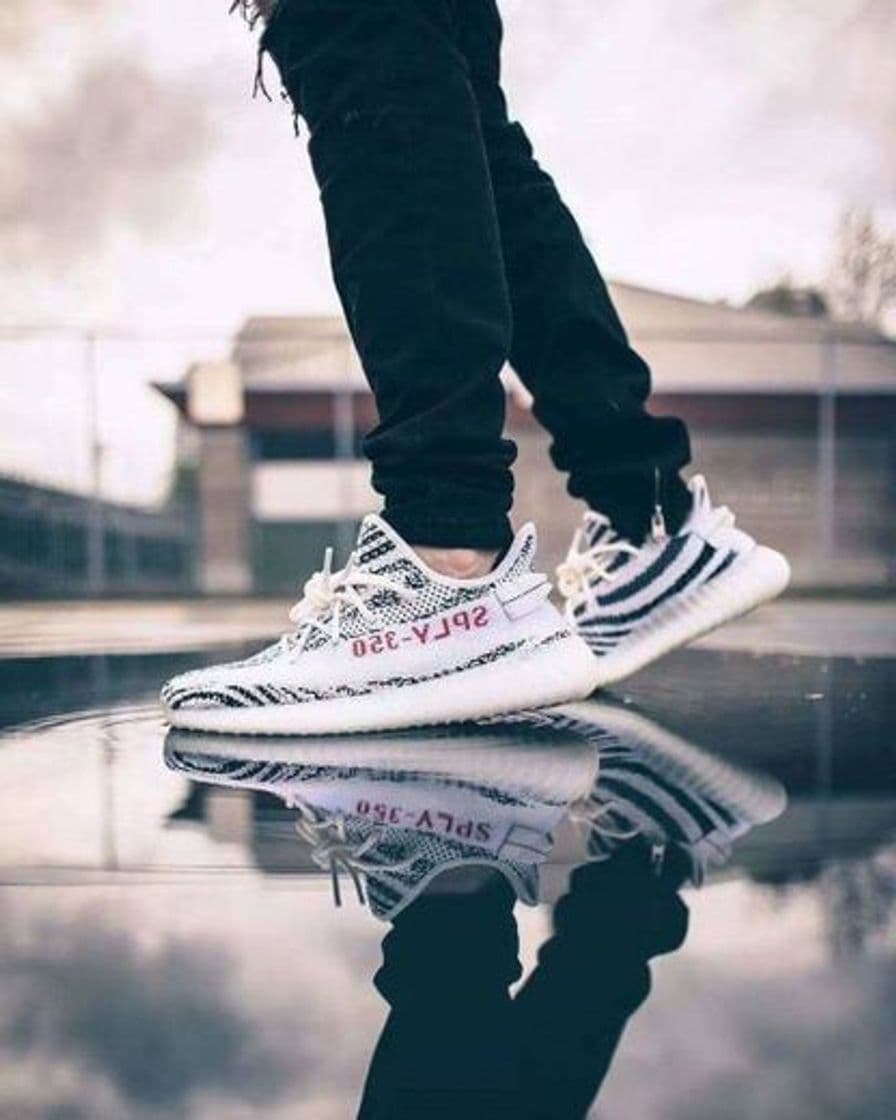 Moda Yeezy Zebra