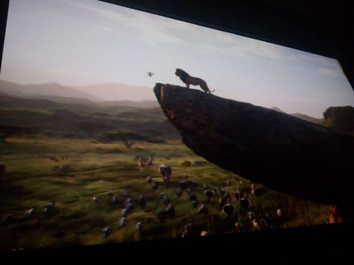 Movie The Lion King