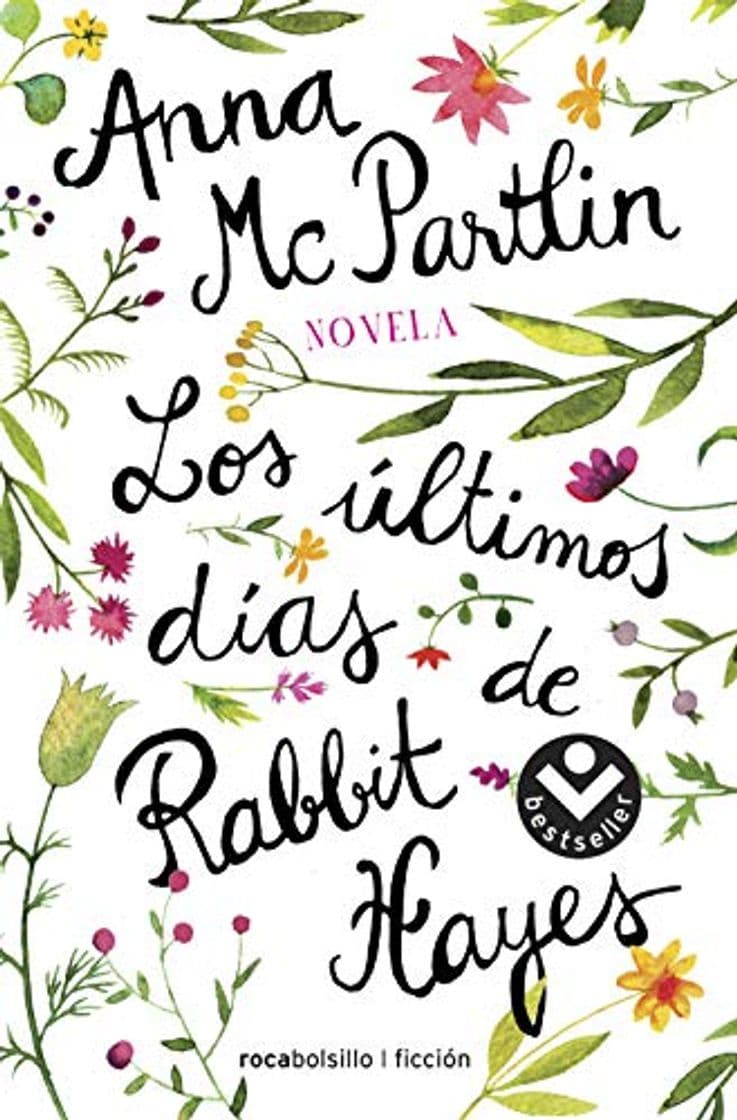 Libro Los últimos días de Rabbit Hayes