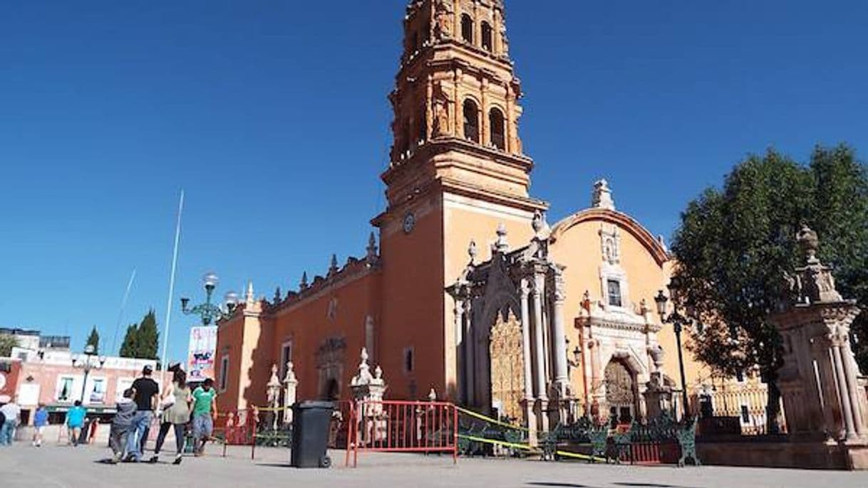 Lugar Fresnillo