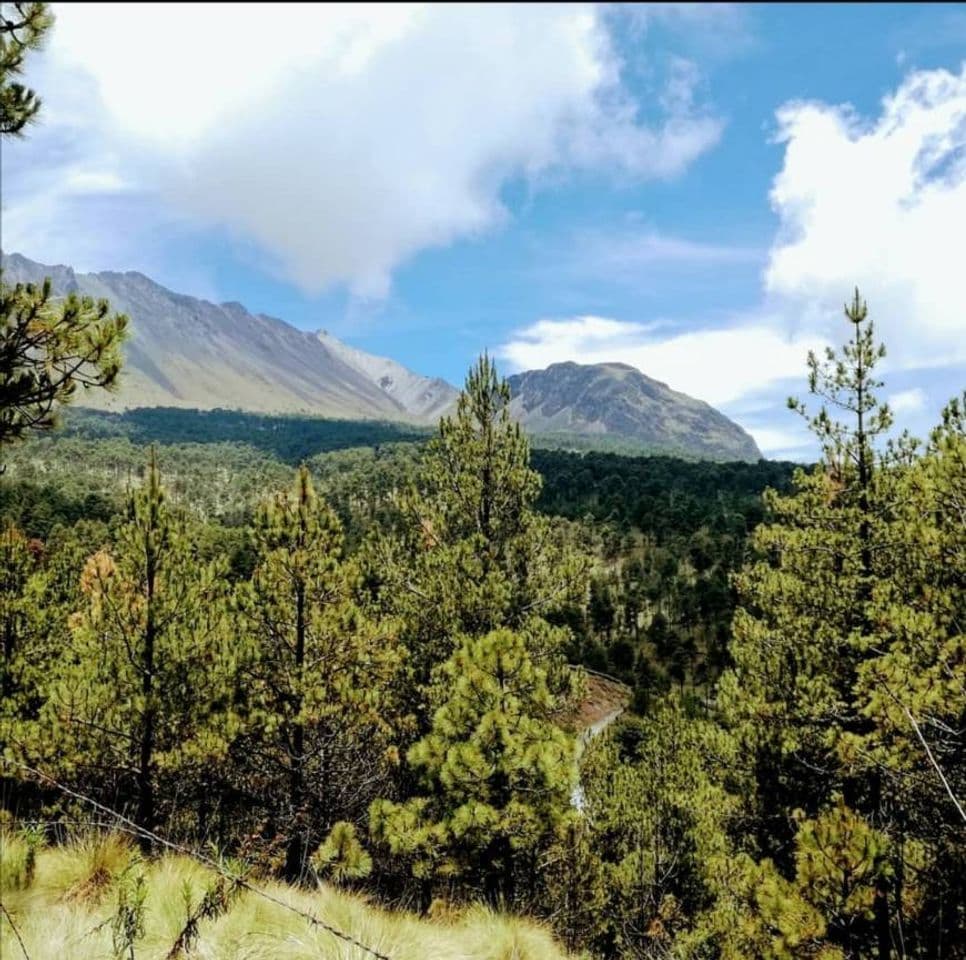 Lugar Nevado de Toluca