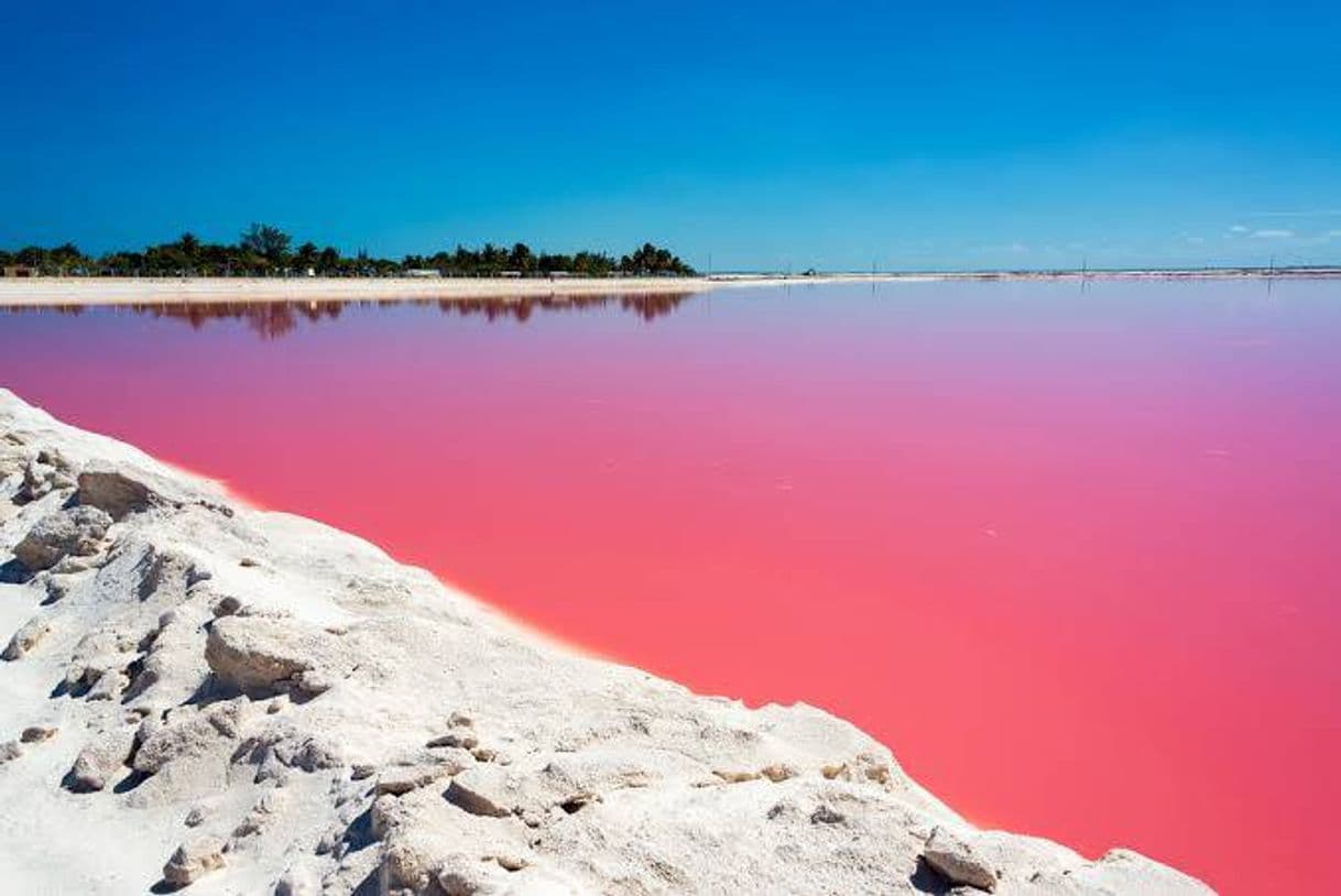 Lugar Las Coloradas Yucatan