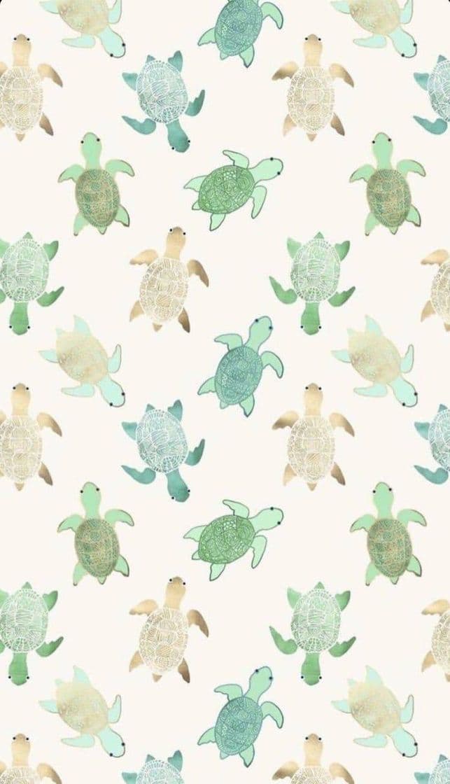 Moda Turtles