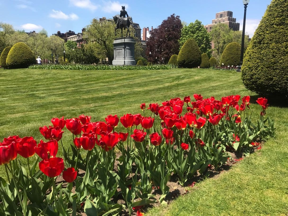 Place Boston Public Garden