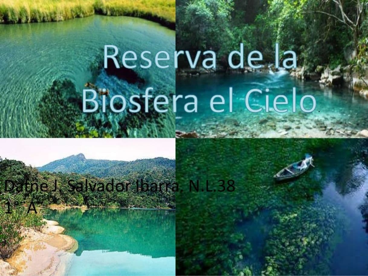 Place Reserva de La Biosfera El Cielo