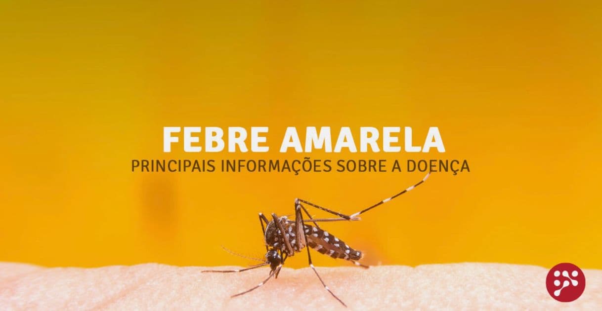 Moda Febre amarela: sintomas, tratamento, diagnóstico e prevenção