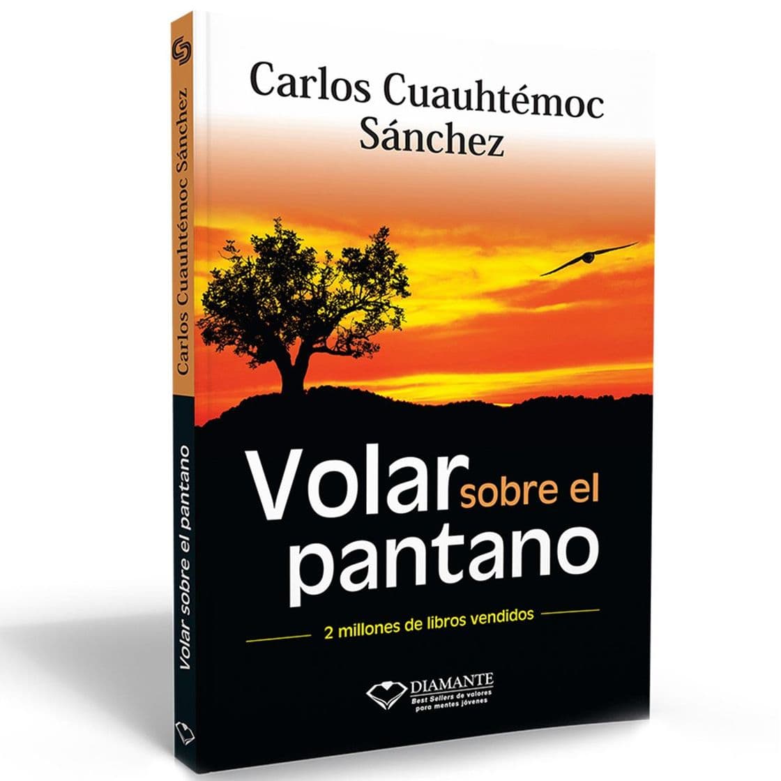 Libro Volar sobre el pantano 