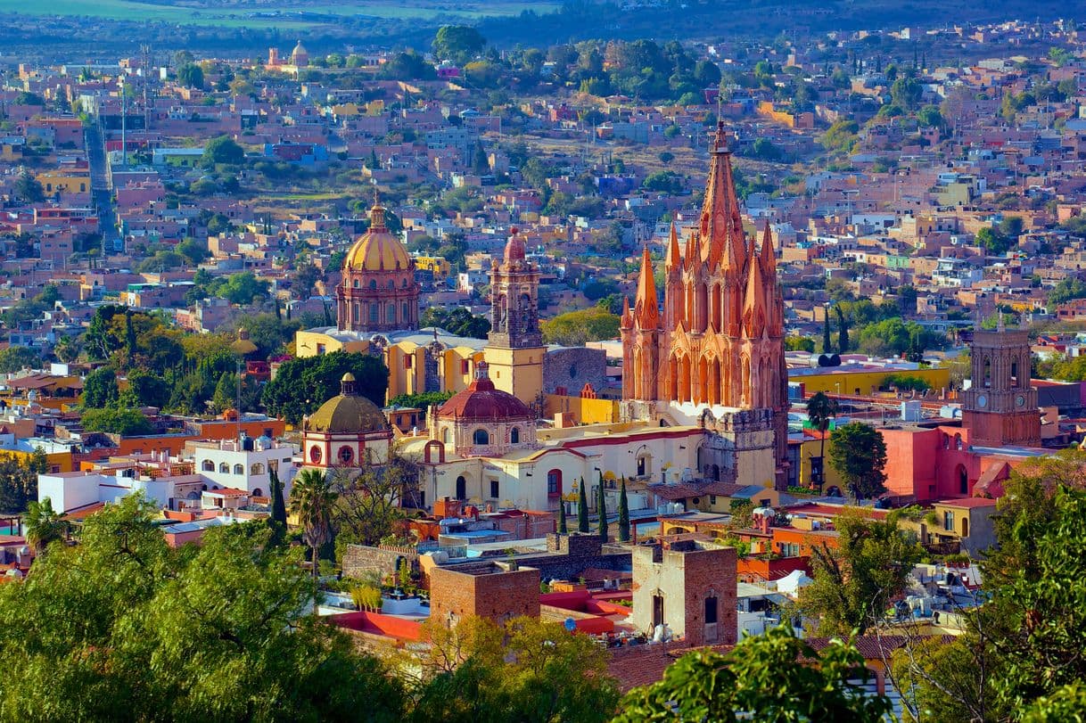 Place San Miguel de Allende