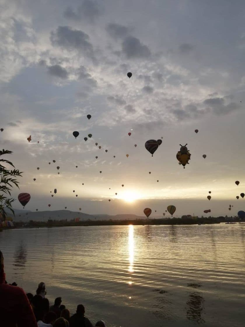 Lugar Oficinas Festival Internacional del Globo