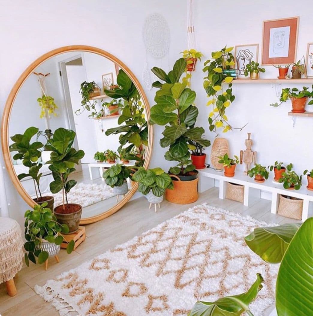 Moda Espejos y plantas 🌳✔️