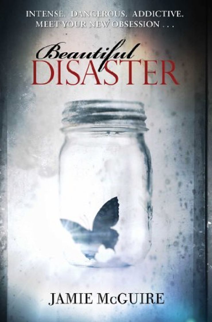 Book Beautiful Disaster: A Novel