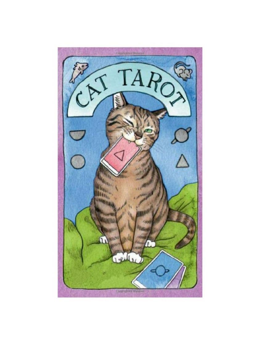 Moda Tarot dos gatos 