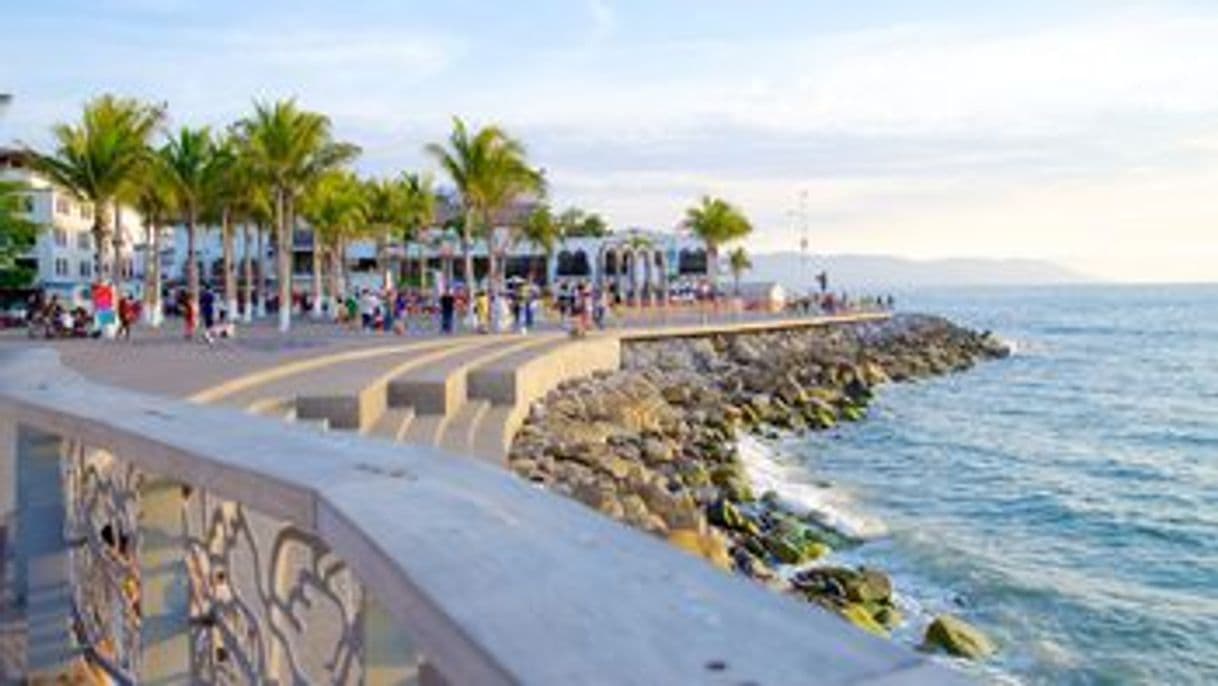 Lugar Malecón Puerto Vallarta