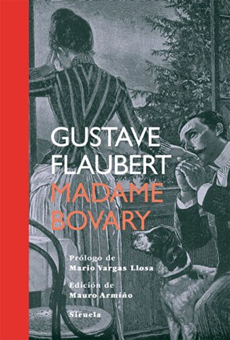 Book Madame Bovary