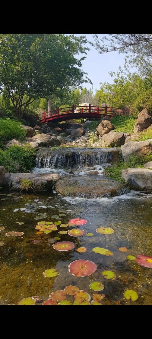 Lugar Jardines de México