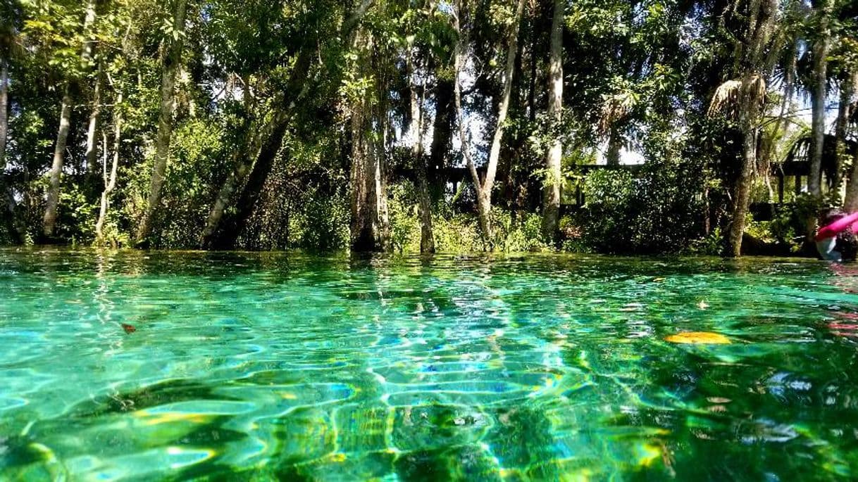 Place Three Sisters Springs