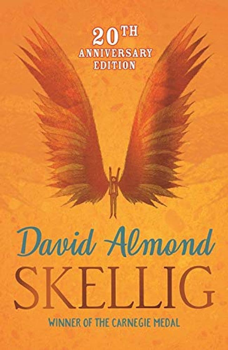 Libro Skellig